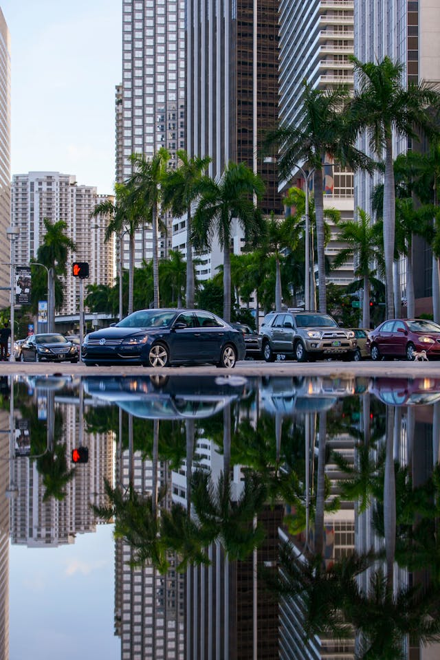 pexels-1363928-2935255
